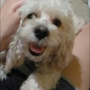 Meet your Posher, Teresa